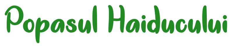 Popasul Haiducului – Buzău